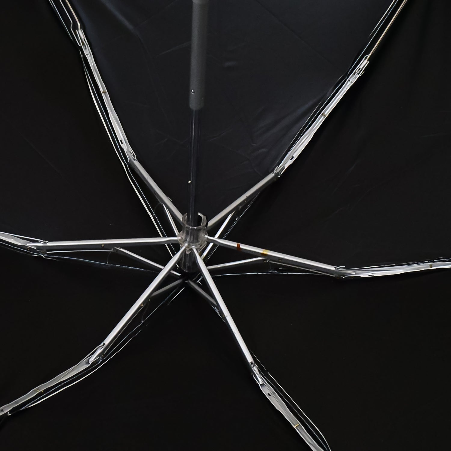 Cute Umbrella Cute Umbrella